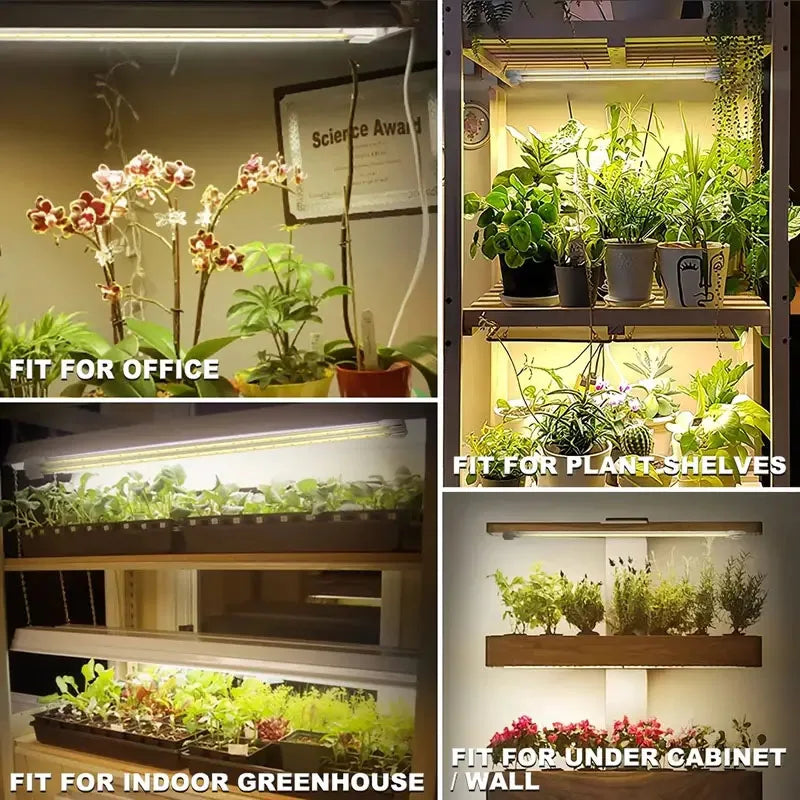 Led Grow Light USB Timer Phyto Lamp Plants Dimmable LED Lamp Phytolamps Full Spectrum Hydroponics Growing Lamps LED Plant Light