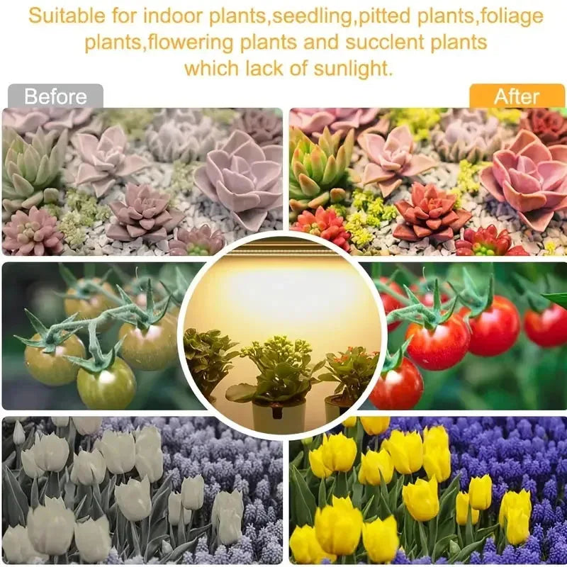 Led Grow Light USB Timer Phyto Lamp Plants Dimmable LED Lamp Phytolamps Full Spectrum Hydroponics Growing Lamps LED Plant Light